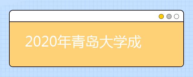 2020年青岛大学成人高等教育招生简章