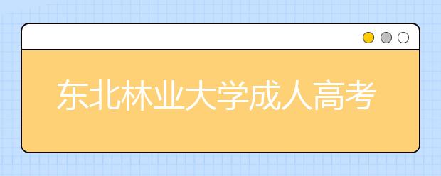 东北林业大学成人高考物流工程（专升本）就业方向