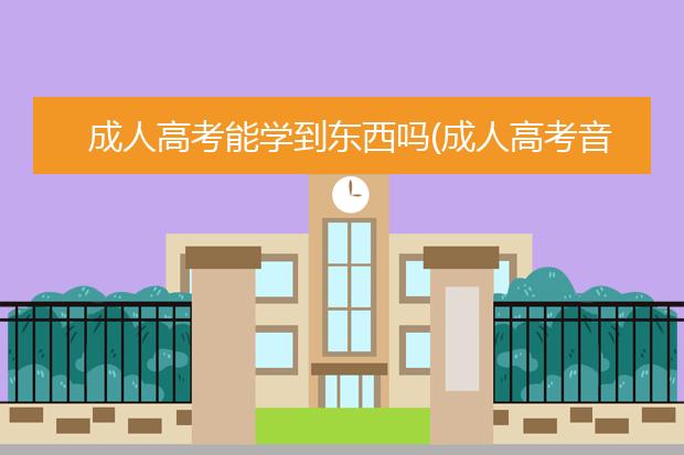 成人高考能学到东西吗(成人高考音乐学院能学到东西吗)