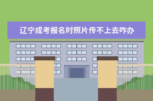 辽宁成考报名时照片传不上去咋办