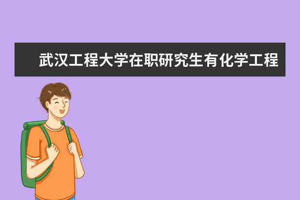 武汉工程大学在职研究生有化学工程与技术吗？