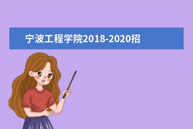 宁波工程学院2018-2020招录情况及招生专业介绍