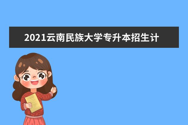 2021云南民族大学专升本招生计划