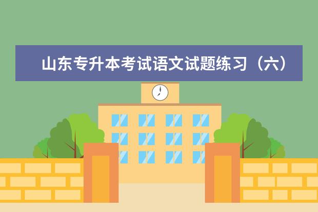 山东专升本考试语文试题练习(六)