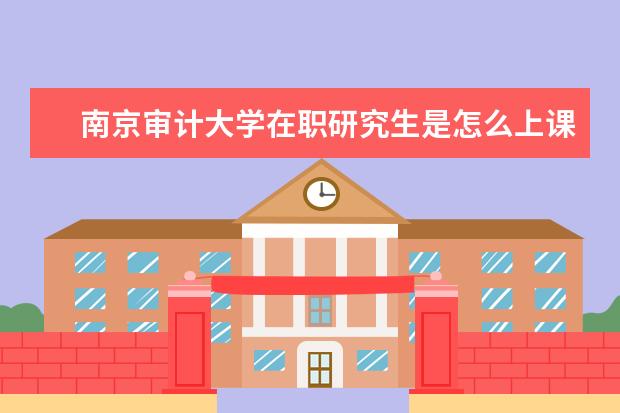 南京审计大学在职研究生是怎么上课的?