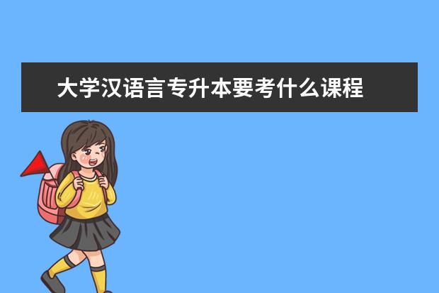 大学汉语言专升本要考什么课程