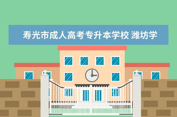 寿光市成人高考专升本学校 潍坊学院2022年成人高考专升本名专112录取分数线 - ...