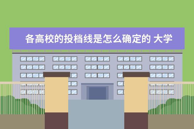 各高校的投档线是怎么确定的 大学录取投档线怎么确定的