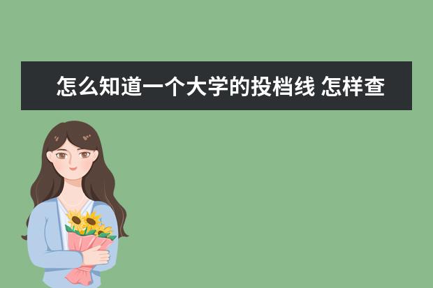 怎么知道一个大学的投档线 怎样查大学往年的投档线和录取位次?