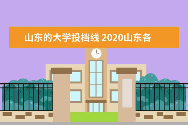 山东的大学投档线 2020山东各高校投档线