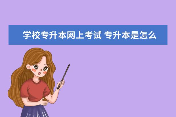 学校专升本网上考试 专升本是怎么考的