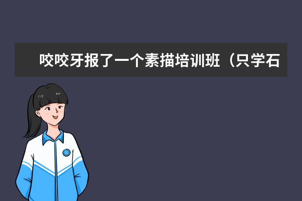 咬咬牙报了一个素描培训班（只学石膏几何），学完后能在家自学吗？内容较长，分高，有耐心的朋友帮帮我呀