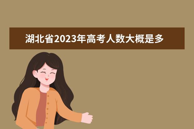 湖北省2023年高考人数大概是多少人