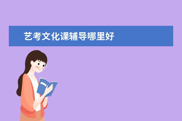 艺考文化课辅导哪里好