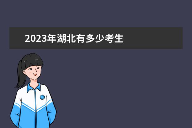 2023年湖北有多少考生