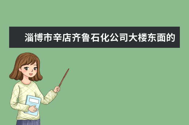 淄博市辛店齐鲁石化公司大楼东面的那个职业学院叫什么名字,什么性质的学校?