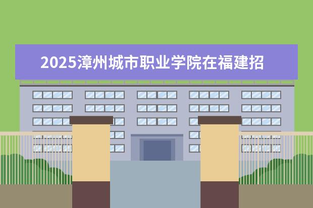 2025漳州城市职业学院在福建招生情况