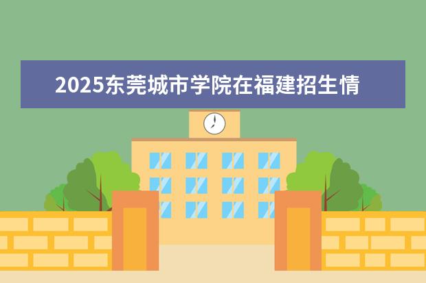 2025东莞城市学院在福建招生情况