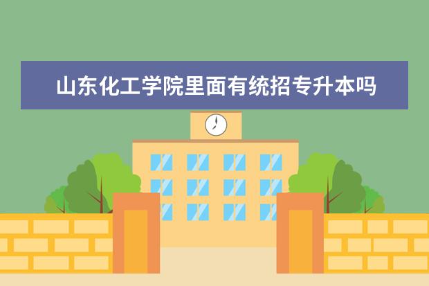 山东化工学院里面有统招专升本吗